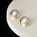 Earrings Sterling Silver Two-color Brushed Earrings Light Luxury Autumn And Winter Niche Ins Style Earrings Women's High-end Jewelry_ipsvogv.com