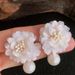 Women’s Jewelry Set Fashion New Earrings Super Hot Ins Niche Gentle Trendy Style Upscale Temperament Earrings_ipsvogv.com