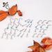 Women's Jewelry Stainless Steel Zircon Nose Nails Star Shaped Right Angle Titanium Steel Nose Jewelry Set Piercing Jewelry_ipsvogv.com