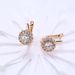 Women's Jewelry Zircon Earrings Popular Flower Shaped Diamond Earrings Accessories_ipsvogv.com