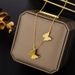 Titanium Steel Korean Fashion Rose Gold Frosted Double Butterfly Necklace Previous 3 Same Women's Collarbone Chain_ipsvogv.com