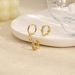 Unisex Hot Sales Real Gold Brass Electroplating Personality Creative Pig Nose Earrings For Women French Light Luxury Earrings_ipsvogv.com