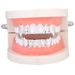 Unisex Hip Hop Braces Accessories Trendy Masquerade Hollow Fangs Gold Teeth Hip Hop Halloween Braces_ipsvogv.com