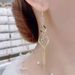 Women's Earrings Earrings for women long diamond fringe earrings earrings drop temperament ear hook personality niche_ipsvogv.com
