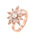 Women’s Jewelry Set Fashion Niche Design Open Ring For Women Style Fashionable Personality Snowflake Flower Inlaid Zircon Ring All Match Ring_ipsvogv.com