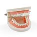 Hip Hop Bracelet With Gold Plated Two Sharp Teeth Bracelet, New Props Fashionable, And Cool_ipsvogv.com
