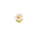 Shell flower collar pin is fashionable, cute, creative, anti slip light button. Fresh and elegant small brooch_ipsvogv.com