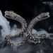 Sterling Silver Bracelet For Men High-End Niche Design Personality Medusa Rattlesnake Hip-Hop Bold Trend_ipsvogv.com
