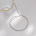 Ins Style Bare Chain Choker High-end Fashion Simple Snake Bone Versatile Necklace For Women_ipsvogv.com