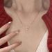 S Pure Silver Rose Zircon Necklace Women's Ins Exquisite Premium Sense Simple Versatile Temperament Clavicle Chain_ipsvogv.com