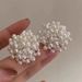 Women’s Jewelry Set Fashion Fireworks Pearl Earrings New Style Temperament High End Niche Design Light Luxury Simple Earrings_ipsvogv.com