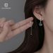 Asymmetric Tassel Women's Bow New Style, Small Fashion Grand, High-end, Light Luxury Earrings, Yiwu Accessories_ipsvogv.com