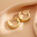 Women's Temperament Hoop 2023 New Trendy High-end Light Earrings For Women Retro Hong Kong Style_ipsvogv.com