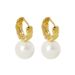 Sier Crystal Pearl Simple Ear Buckle Female Niche Versatile Electroplated Elegant Style Design Earrings_ipsvogv.com