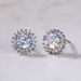 Cao Shi's new Earrings Fashion sweet flower Zircon Earrings women's simple Copper Plated Platinum Earrings combination_ipsvogv.com
