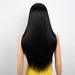 hot selling Synthetic Lace Front For Black Women Long Straight Middle Part Wig High Temperature Hair Red Ombre Cosplay Wigs_ipsvogv.com