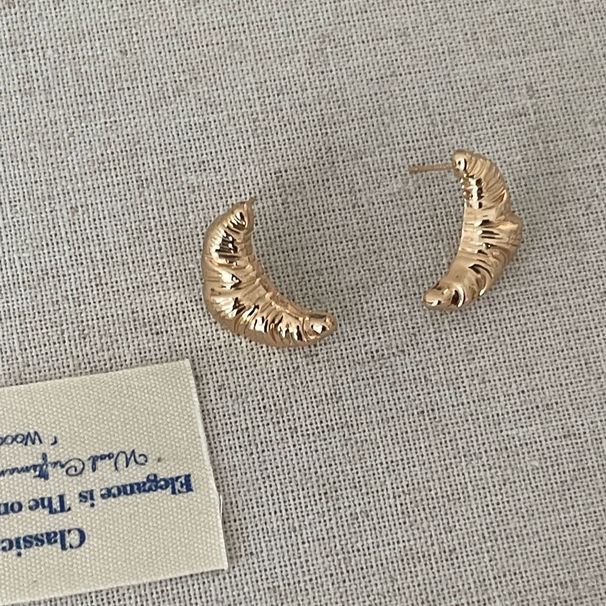 Metal Crescent Horn Wrapped For Women 2024 New Stylish Earrings With Niche Design A Cold And Cool Style_ipsvogv.com
