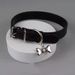 Sweet And Cute Bone Collar Couple Personality Choker Spicy Girl Subculture Neck Ring Neckband Punk Dog Necklace_ipsvogv.com