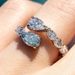 Cao Shi's Hot selling Fashion Droplet Open Elegant Snake shaped Geometric Women's Ring_ipsvogv.com