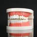 Body Jewelry Vampire Fangs And Sharp Teeth Halloween Funny Real Gold Electroplated Small Tiger Teeth Single Braces For Men And Women_ipsvogv.com