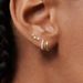 Women’s Jewelry Set Fashion Brass With Real Gold Plating Simple And Fashionable Gold Hoop Earrings With Zircon Three Piece Set_ipsvogv.com