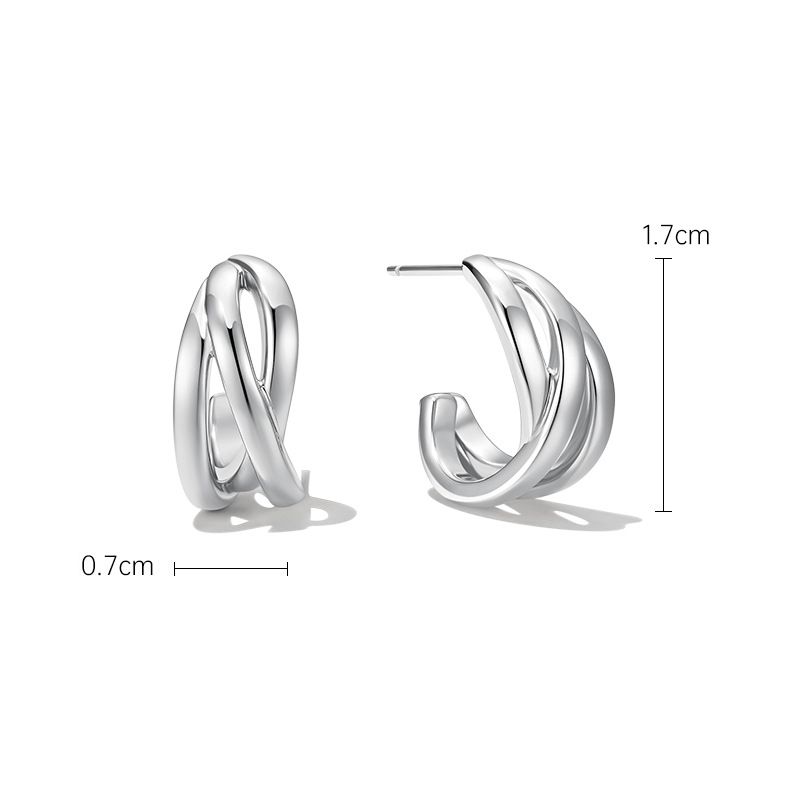 Women's Jewelry Niche Design High End Light Luxury Plain Earrings Gold Plated 925 Silver Earrings_ipsvogv.com