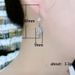 Cao Shi's diamond earrings for women's new design, showing off the trend of slim earrings to the small crowd_ipsvogv.com