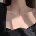 Four Leaf Clover Female Trendy Exquisite Small Simple Temperament S Sier Clavicle Chain Cold Style Necklace_ipsvogv.com