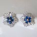 Cao Shi's Live Recommended Sweet Cool Wind Snowflake Zircon Women's Christmas Creative And Earrings Gifts_ipsvogv.com