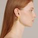 Botanical Seed Texture Earrings - Light Luxury Minimalist Jewelry (Nature-Inspired Design Hypoallergenic)_ipsvogv.com