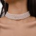 N10536 French Elegant Neckchain Pearl Temperament Light Luxury Fashion Evening Party Necklace Accessories_ipsvogv.com