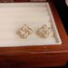 S Silver Needle Elegant Fashion Niche Design Diamond-Studded Rhombus For Women Exquisite Small Light Luxury Earrings_ipsvogv.com