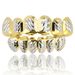 New Hot Selling Hip Hop Gold Braces With Flowers, Big Gold Teeth, Two Color Gold Teeth_ipsvogv.com