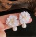 Women’s Jewelry Set Fashion New Earrings Super Hot Ins Niche Gentle Trendy Style Upscale Temperament Earrings_ipsvogv.com
