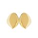 Fashionable and luxurious women's metal niche fan-shaped leaves, versatile design, earrings, geometric earrings_ipsvogv.com