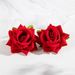Women’s Jewelry Set Fashion Romantic Fashion All Match Colorful Three Dimensional Large Flower Tassel Pendant Earrings Simulation Flower Earrings_ipsvogv.com