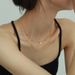 Twisted Double-layer Titanium Steel Necklace With Tassel Collarbone Fashionable Neck Chain, Versatile For Women's_ipsvogv.com
