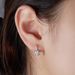 Cao Shi Fashion Jewelry Micro Inlaid Four Claw Round Zircon Ear Buckle_ipsvogv.com