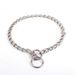 Double Loop Stainless Steel Dog Chain Metal P Chain Collar Stainless Steel P Chain Dog P Chain Dog Collar_ipsvogv.com