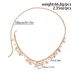 Tassel Conch Starfish Shell BL Chain Waist Chain Female 2025 Summer Trendy Seaside Travel Vacation Photo Accessories_ipsvogv.com