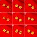 Long Lasting Butterfly For Women, Summer Flowers, High-end Feeling, Rose, Vietnamese Sand Gold Brass Earrings_ipsvogv.com