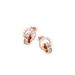 Women's Accessories Diamond Set Simple Temperament Design Sense Trend Earrings Earrings_ipsvogv.com