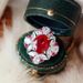 Cao Shi's Luxurious Medieval Bride Ring, Popular Jewelry Recommendation, Temperament Style Ring_ipsvogv.com