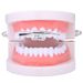 Hip Hop Braces Gold Teeth AK47 Rifle Shape Gold Braces Trend Halloween Hip Hop Cross Border Factory Direct Sales_ipsvogv.com