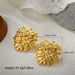 Unisex Retro Exaggerated Earrings Design Gold Plated Elegant Earrings Firework Shaped Vintage Earrings_ipsvogv.com