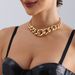 Punk Trendy Cool Personality Thick Chain Neck Chain Necklace Necklace Jewelry, Hip Hop Exaggerated Geometric Buckle Simple Necklace Jewelry_ipsvogv.com