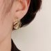 Korean And Japanese Style Fashion Simple Metal Twisted Niche Light Luxury Personality Design Sense Silver Needle_ipsvogv.com