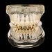 Unisex Jewelry Fashion star chain braces personalized star splicing upper and lower teeth versatile rap cool tooth ornamentsHIPHOP tooth_ipsvogv.com