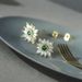 Cao Shi Luxury Flower Earrings Female Elegant Temperament French Jewelry Fashion Small Crowd_ipsvogv.com