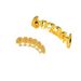 Unisex Hip Hop Braces Skull Micro Inlaid Zircon Braces Halloween Costume Party Braces_ipsvogv.com